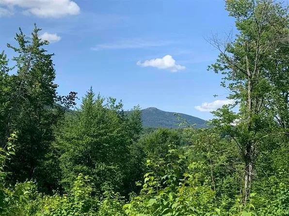 0 Leland Farm Road Lot D, Middlesex, VT 05602