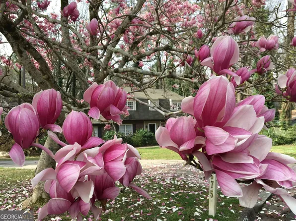 3675 Toxaway Ct, Chamblee, GA 30341