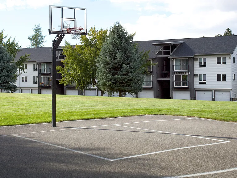 Basketball Court