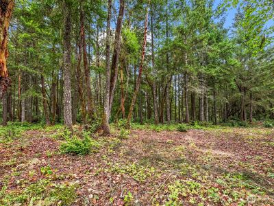 17420 74th Street NW, Vaughn, WA, 98394