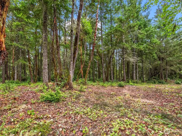 17420 74th Street NW, Vaughn, WA 98394