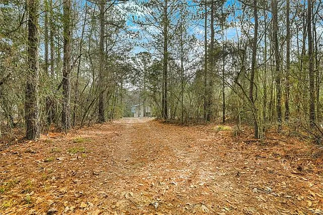 2 bed, 1.0 bath, 768 sqft, $1,400 — Photo 2