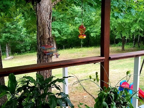 Summer veiw from deck