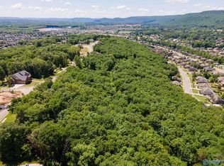 4631 Saddle Ridge Dr SE LOT 8, Owens Cross Roads, AL 35763