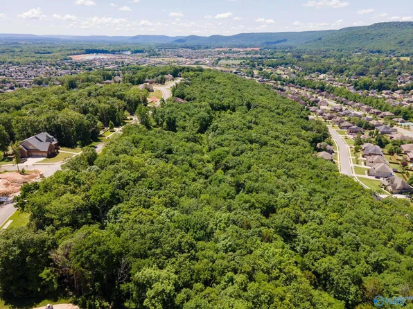 4631 Saddle Ridge Dr SE Lot 8, Owens Cross Roads, AL 35763