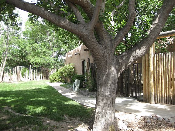 69 and 70 view to Bosque_06012024