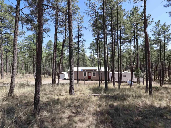 161 Dixwood Dr #8, Timberon, NM 88350