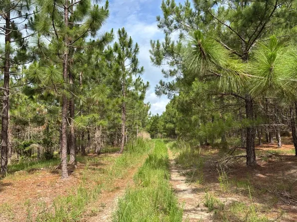 0 State Highway 145, Chesterfield, SC 29709