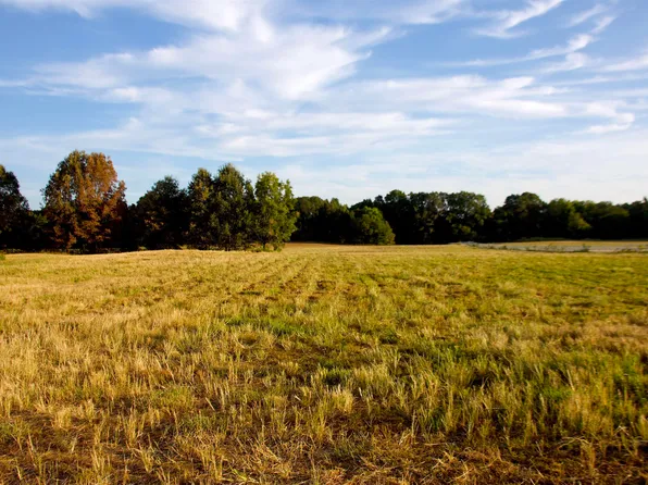 24275 Highway 57 E, La Grange, TN 38046
