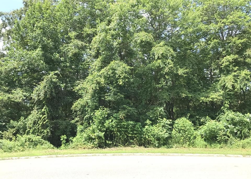 1st image of 232 Rock Cress Dr