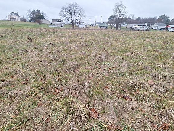 4th image of 316-318 Bute Rd N