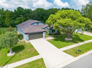 10519 Deepbrook Dr, Riverview, FL 33569