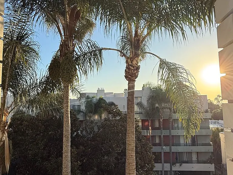 **Prime Location | Clean & a Great Value Well-Appointed Apartments with Private Balcony** — Photo 29