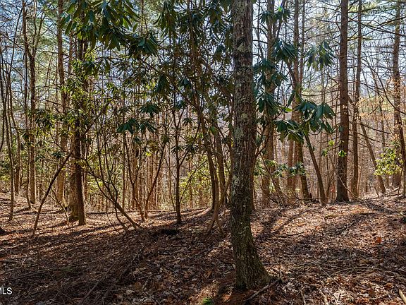 5th image of LOT 39 Bear Ridge Dr