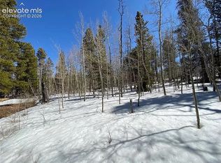 2202 High Creek Rd, Fairplay, CO 80440