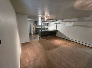 For Rent: 1 Bed / 1 Bath Basement Apartment Beautiful Georgetown, CO, Georgetown, CO 80444