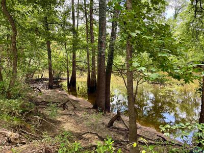 2428 Private Road 7200, Jefferson, TX, 75657