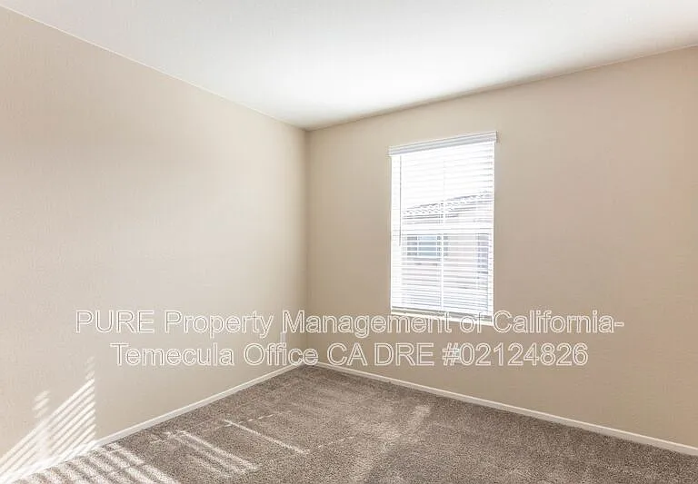 41966 Pedraza St — Photo 14