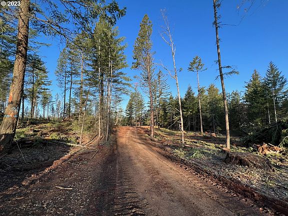 3rd image of 16 Indian Hill Trl