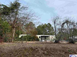 246 McCowns Millpond Rd, Darlington, SC 29540