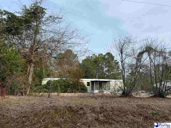 246 McCowns Millpond Rd, Darlington, SC 29540
