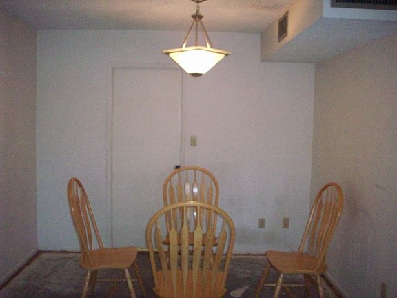Dining--new light fixture
