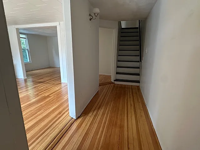 3 bed, $2,350 — Photo 4