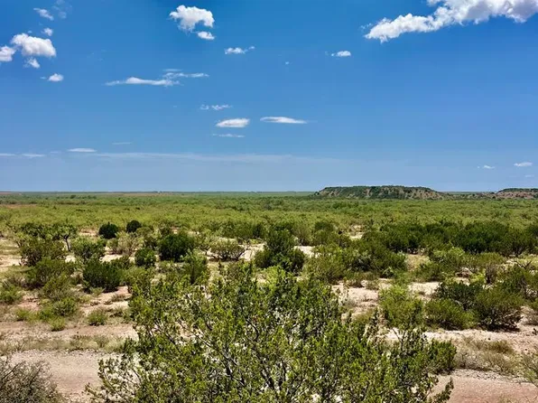 Juniper Rd, Bronte, TX 76933