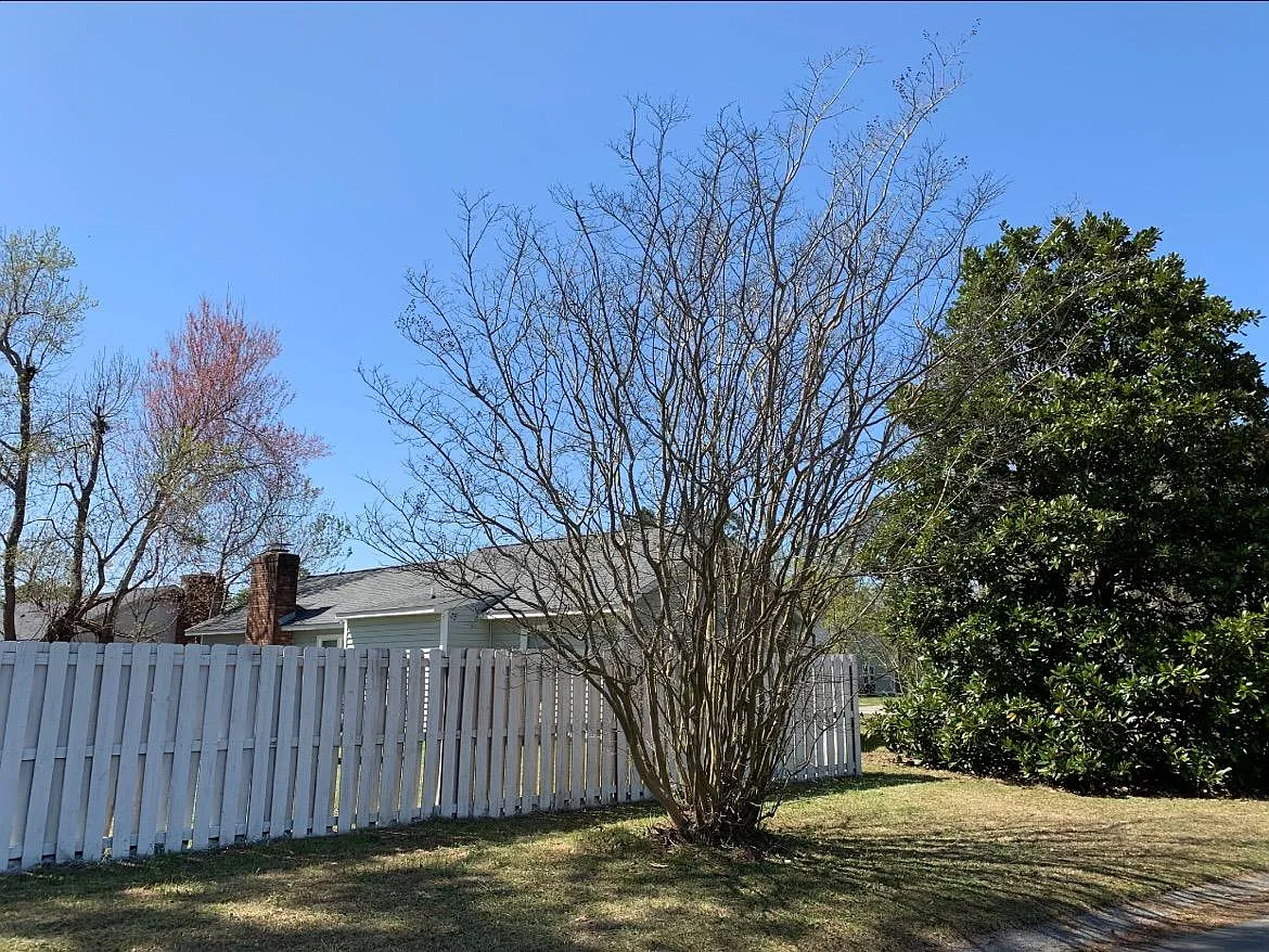 2414 Saddleridge Dr — Photo 3