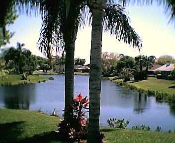 Lake view