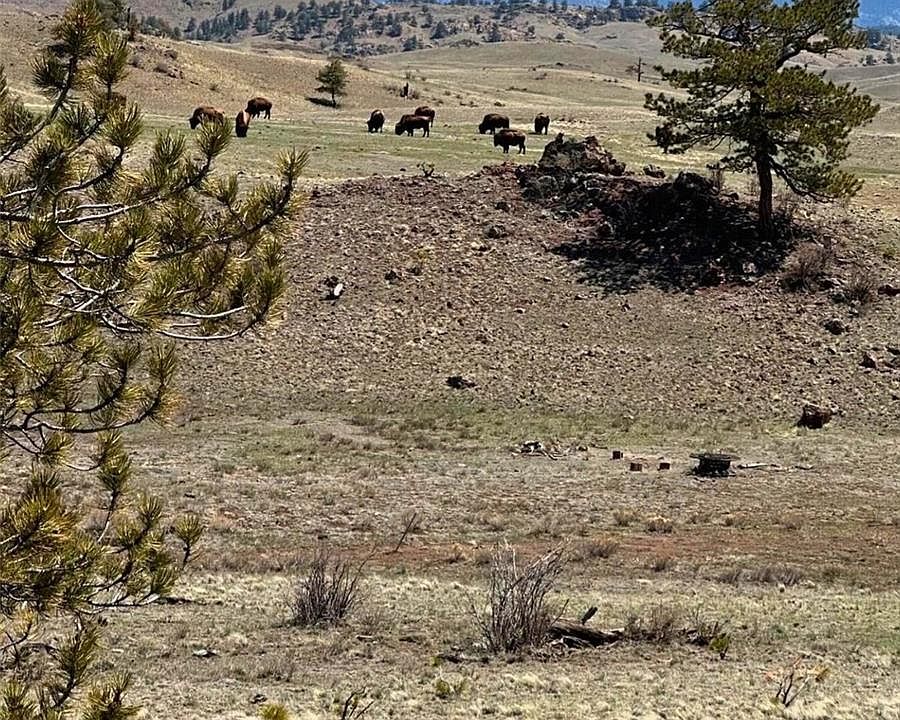 1st image of 391 Gulch Road