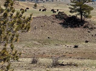 391 Gulch Road, Hartsel, CO 80449