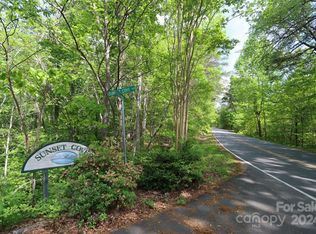 0 Buffalo Shoals Rd, Lake Lure, NC 28746