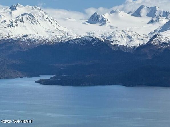 51153 Trail Mountain Rd, Homer, AK 99603