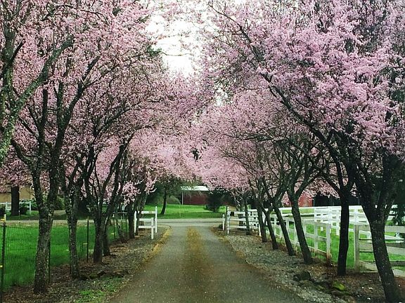 Gated Drive with Opener