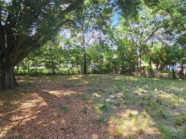 217 SKYLINE DRIVE, LADY LAKE, FL 32159