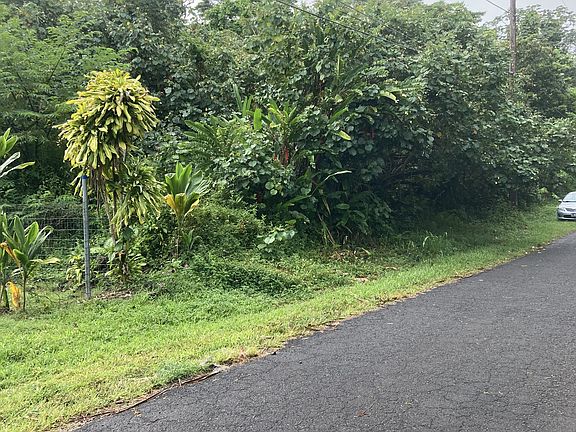 5th image of Ohiki St