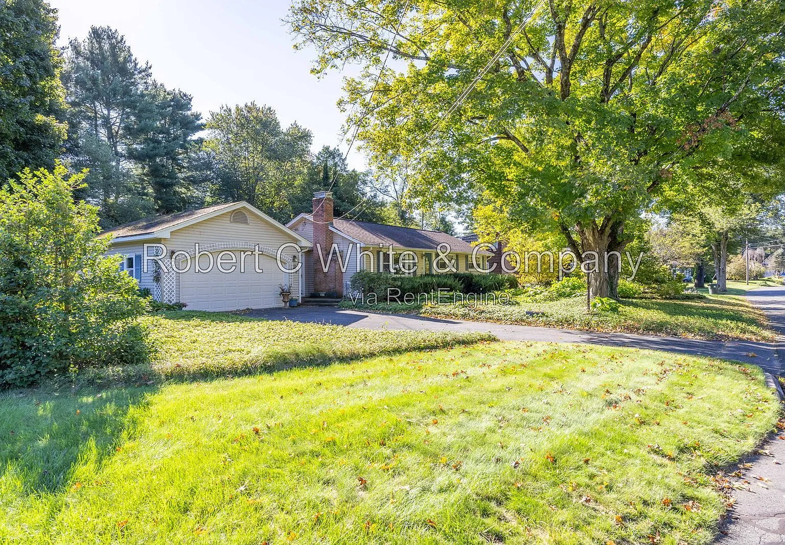 3 bed, 1.5 bath, 1296 sqft, $2,490 — Photo 3