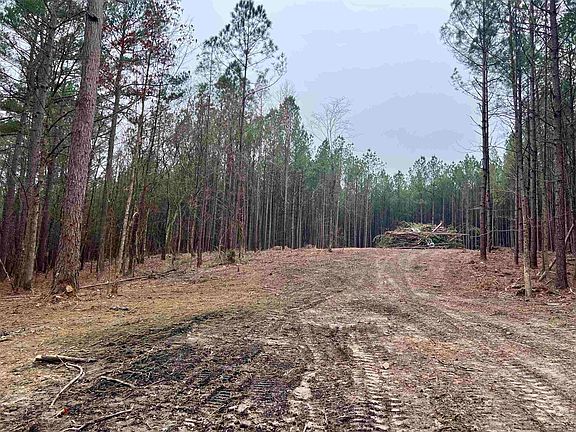 3rd image of 2 Stihl Rd #22