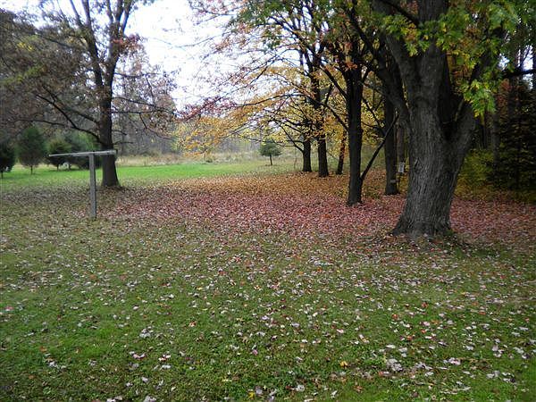 Backyard 2