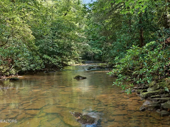 Twin Bridge Rd, Deer Lodge, TN 37726