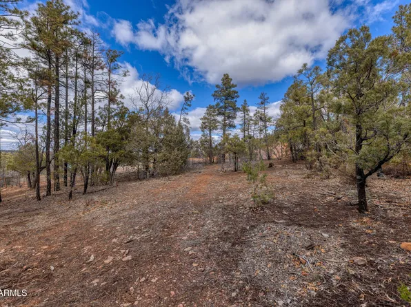 4701 S PINE Way #9, Show Low, AZ 85901