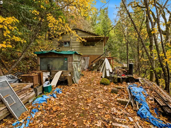 48117 E 2nd St, Oakridge, OR 97463