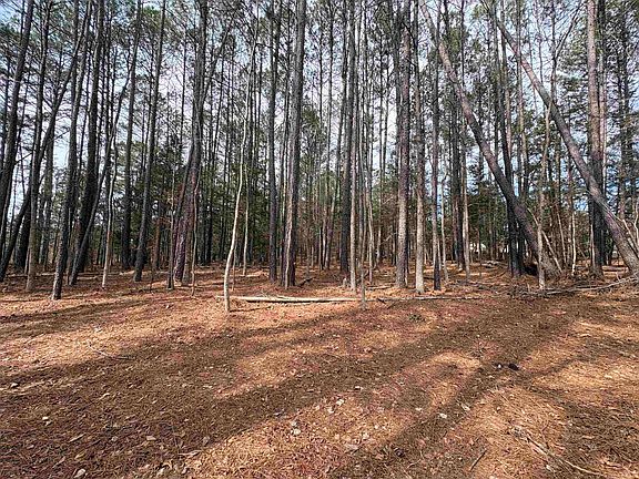 4th image of 0 Union Hwy