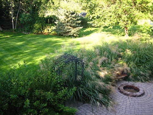 Back Yard 