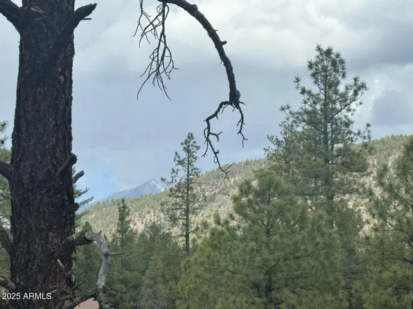 Lot 2 N Quintana Drive #2, Flagstaff, AZ 86001