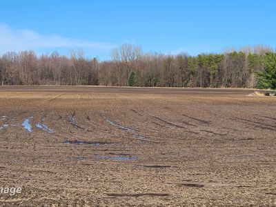 14000 W Burt Rd, Chesaning, MI, 48616