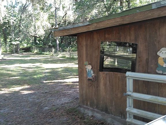 Another horses turn out