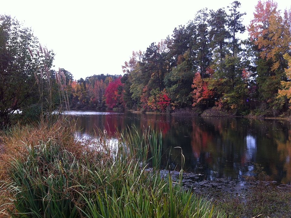 Nine acre pond