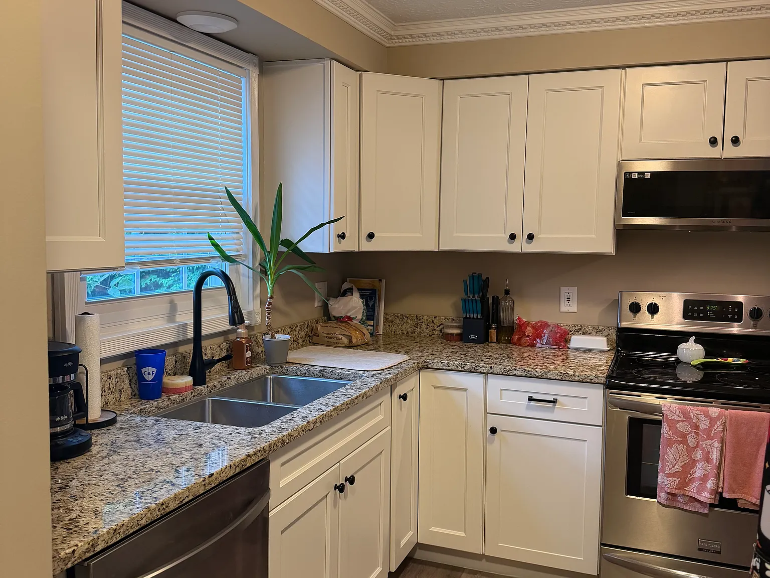 2 bed, 1.5 bath, $2,300 — Photo 3